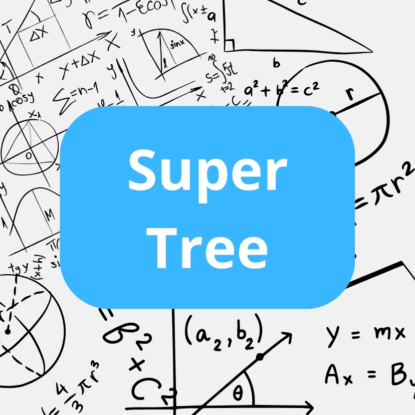 AutoML logo on screen and mirror reflaction beneath with mathematical formulas and graphs