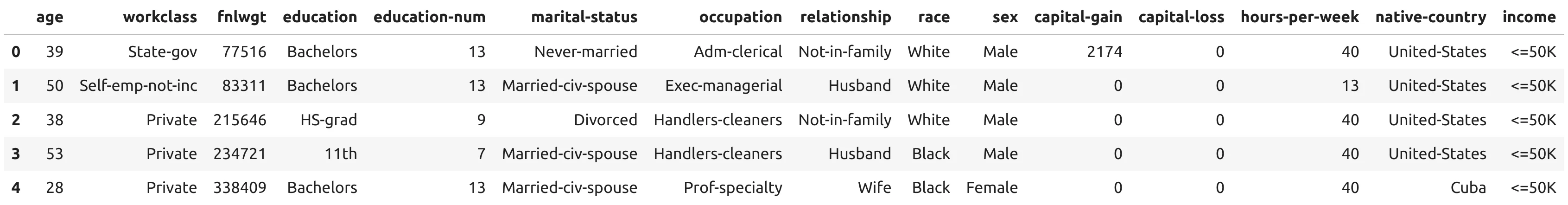 dataframe with 5 first rows from adults dataset