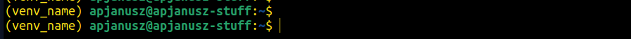 The terminal with activated virtual environment.