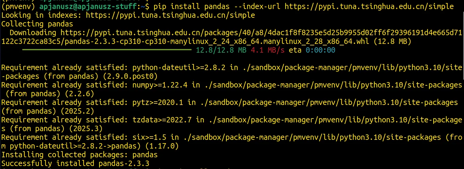 Install a package from a custom PyPI server using the `--index-url` flag