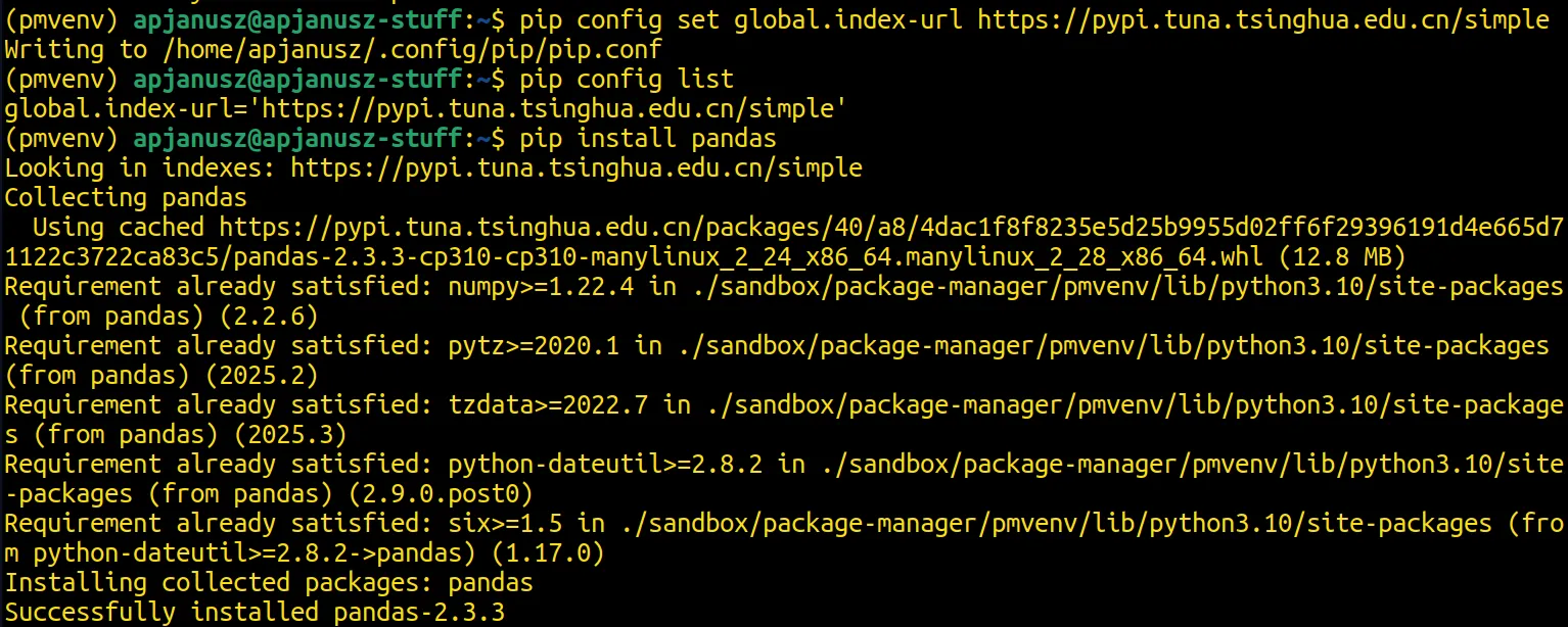 Install a package from a custom PyPI server by changing the global PyPI URL.
