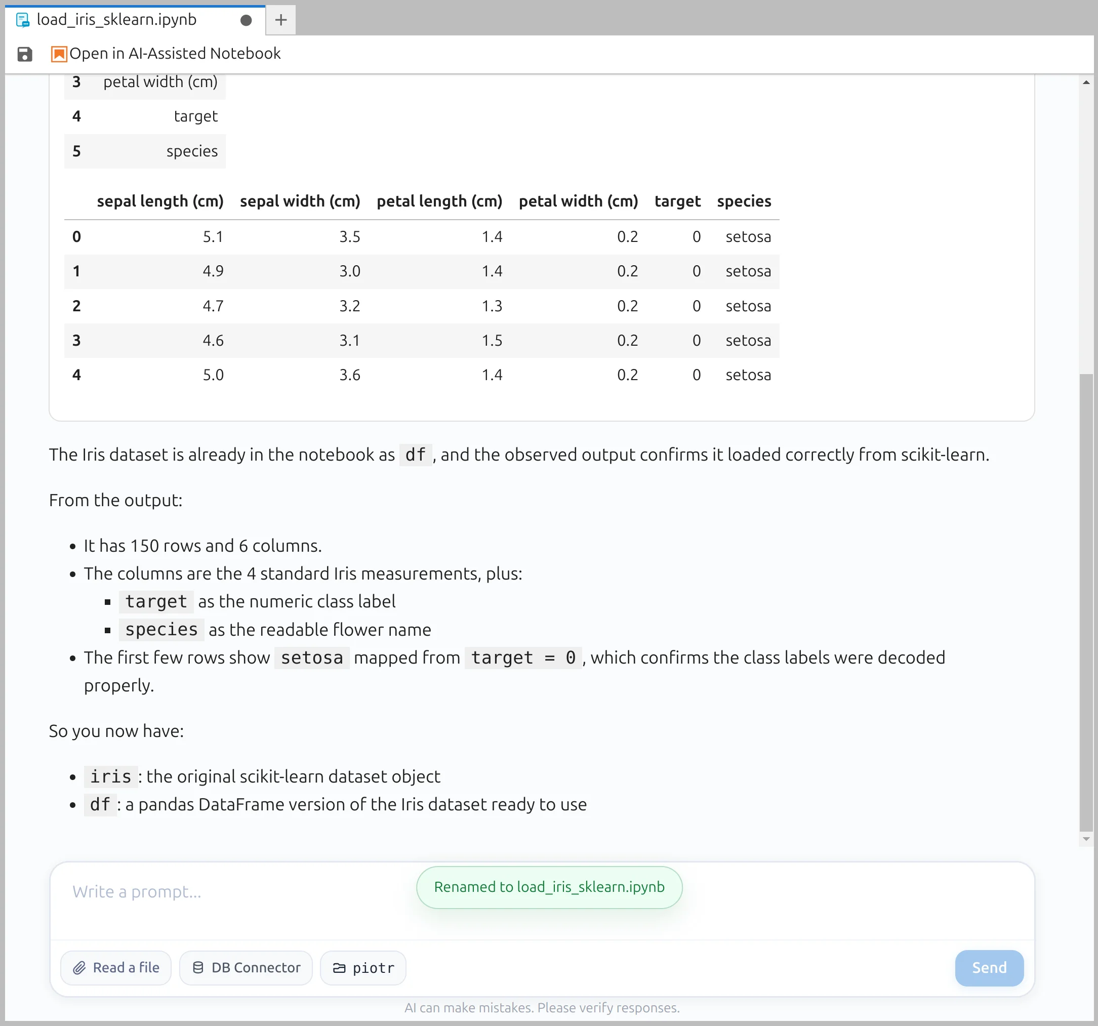 Notebook renamed with clear conversational title