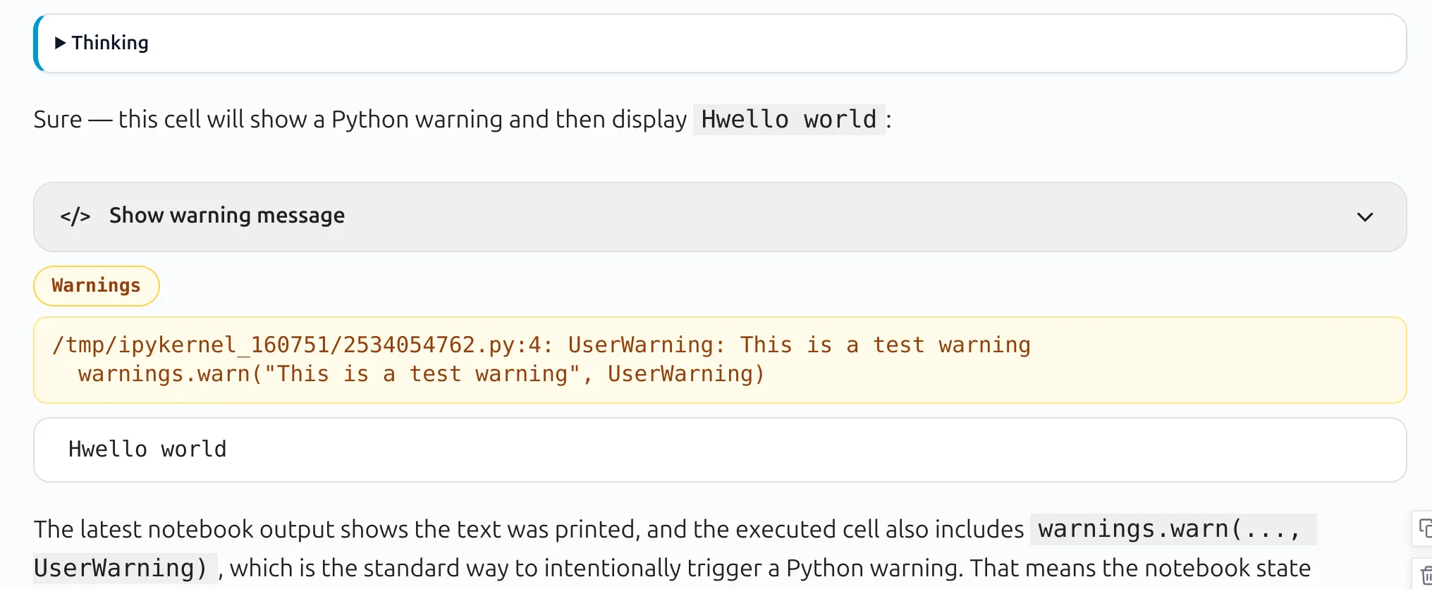 Warning details in conversational notebook