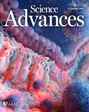 Designing and identifying β-hairpin peptide macrocycles with antibiotic potential