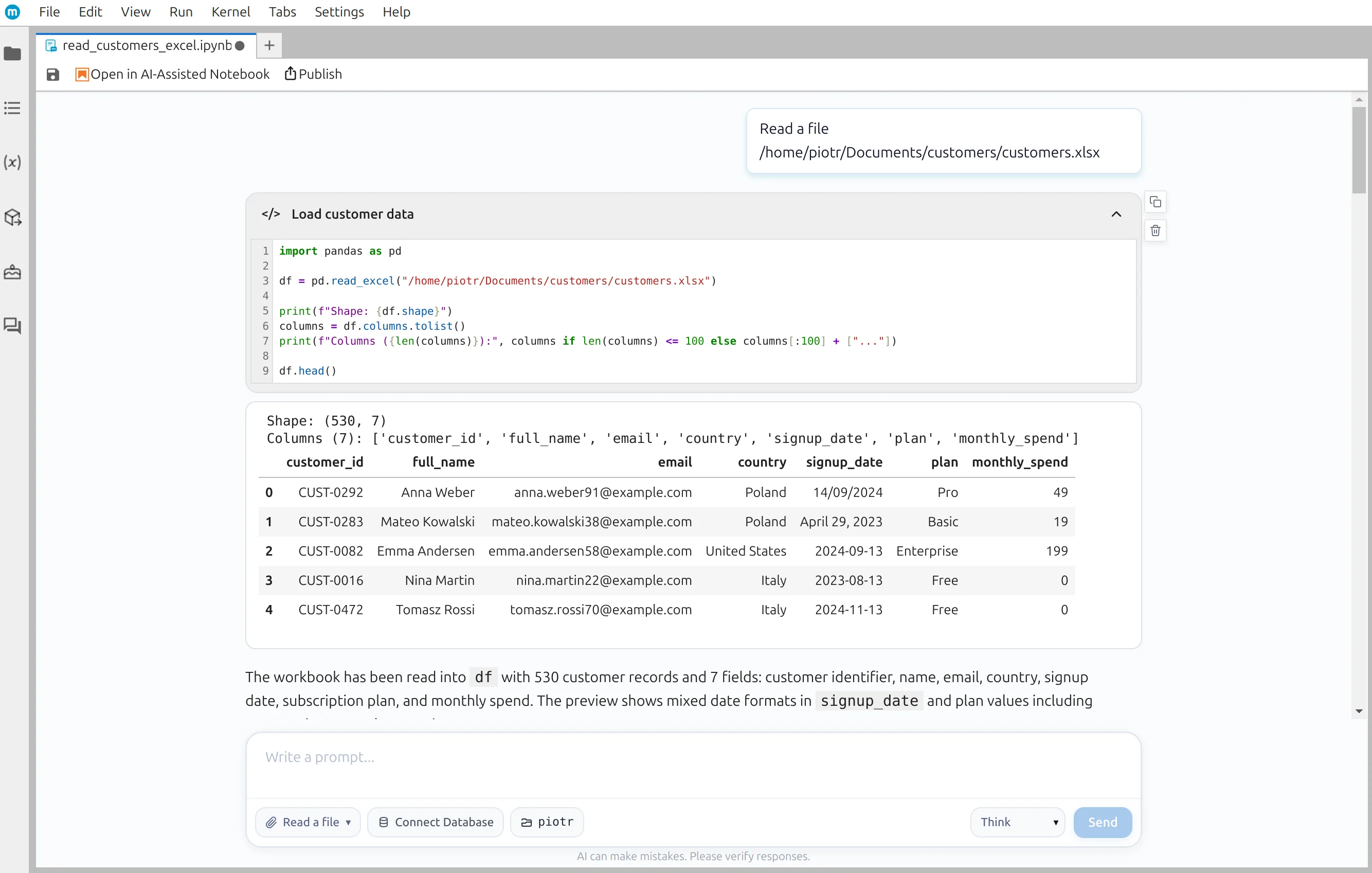 Loaded customer data in MLJAR Studio