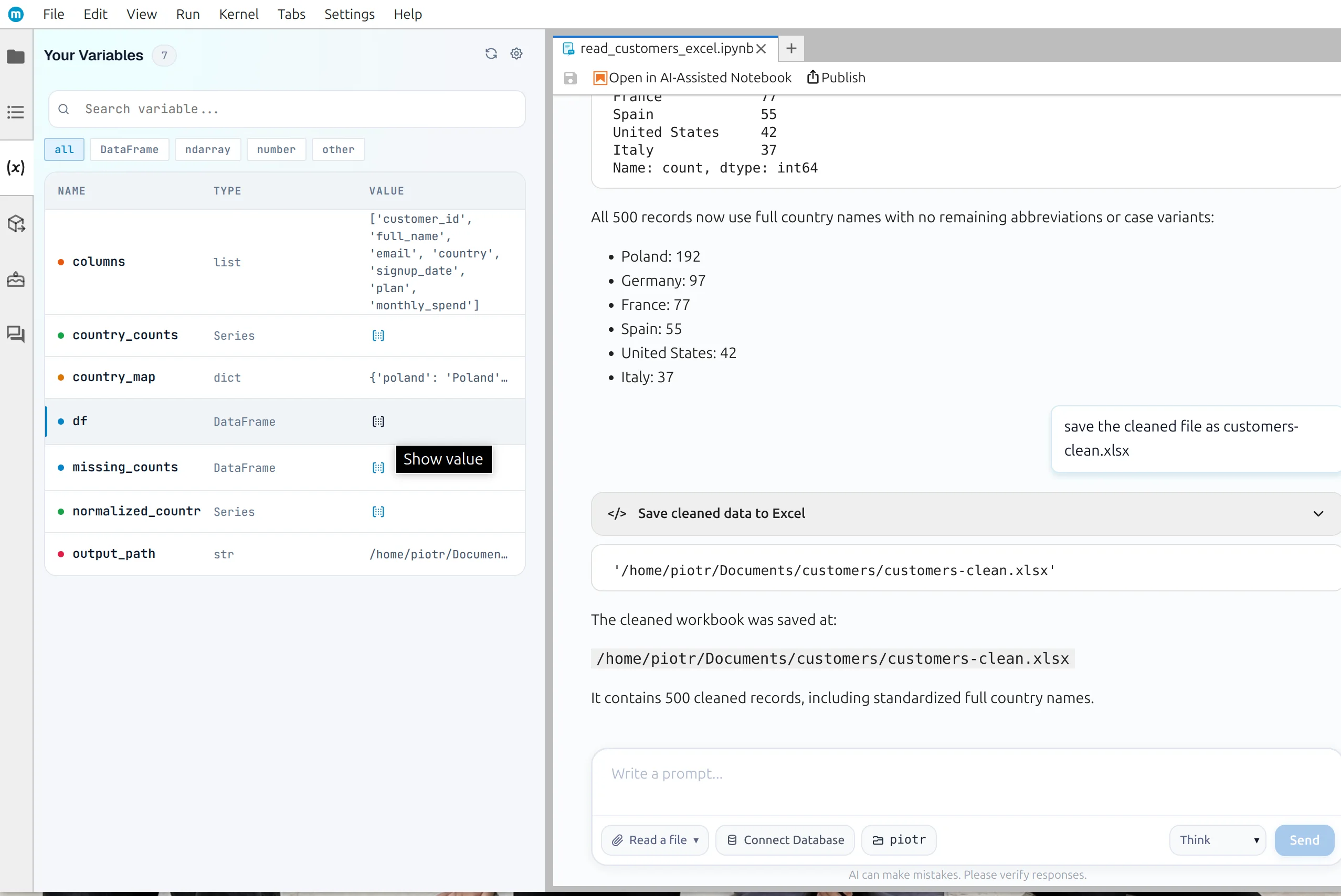 Variable Inspector with the cleaned dataframe