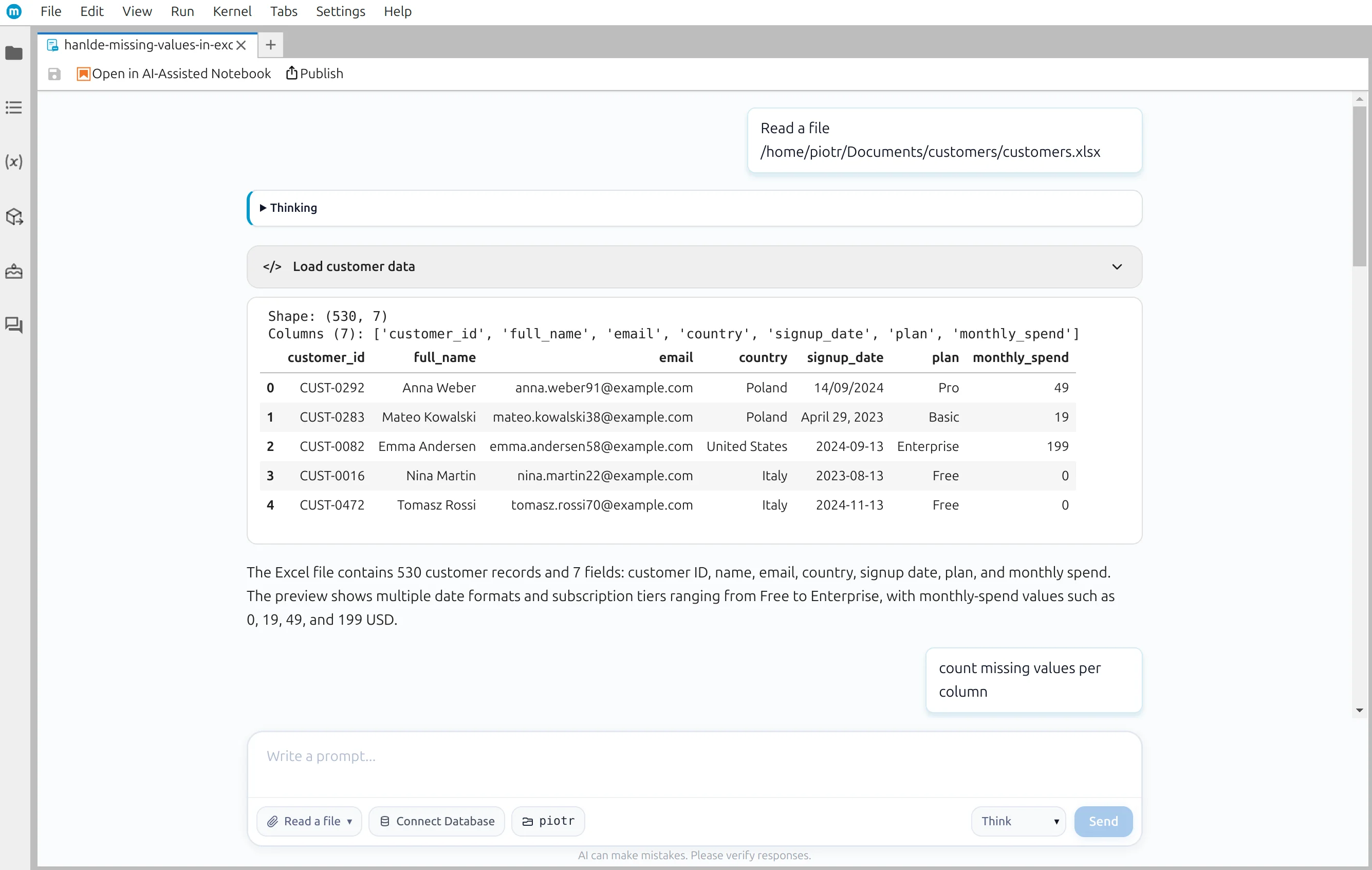 Loaded customer data and generated Python