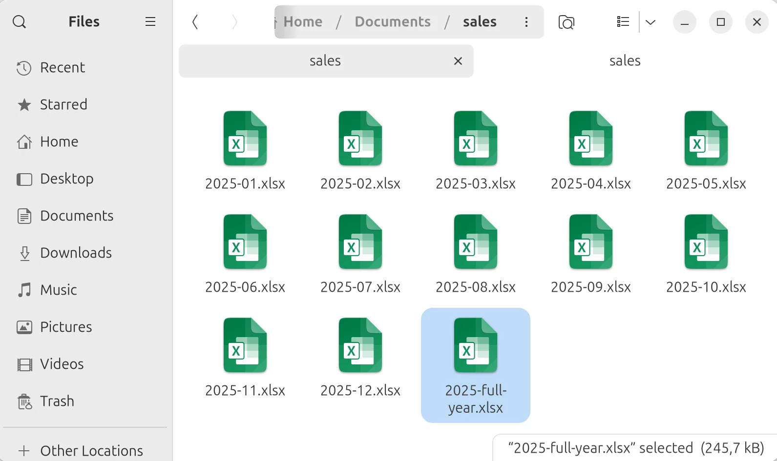 The merged full-year file in the sales folder