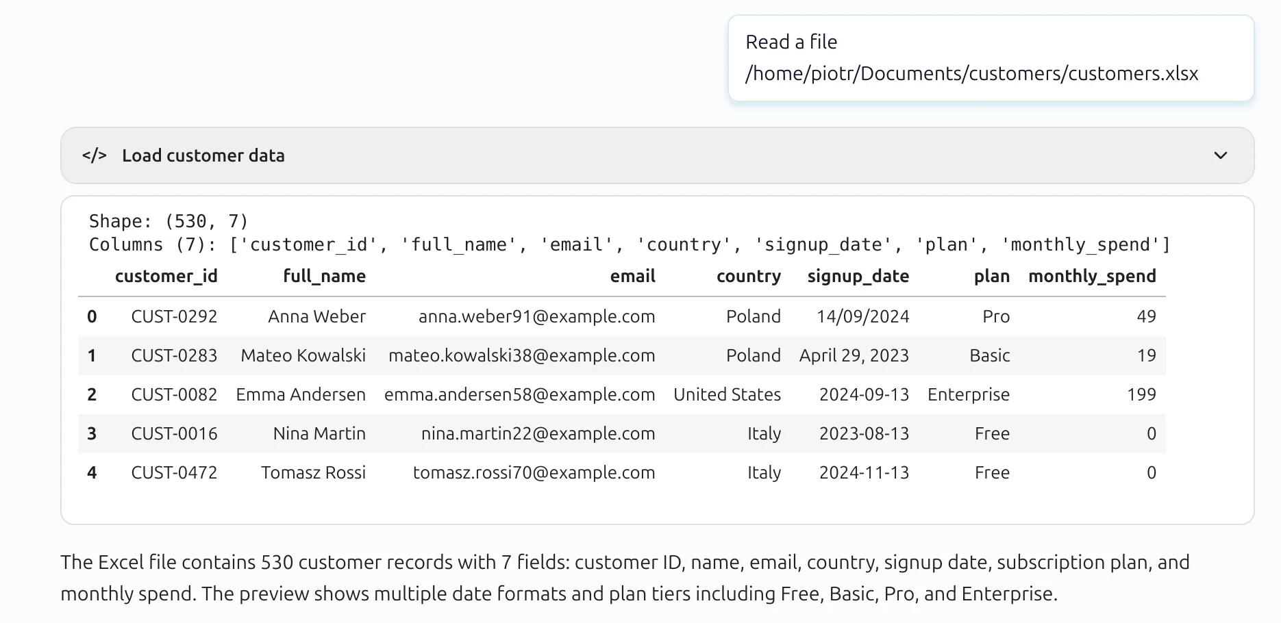 Loaded customer data and generated Python