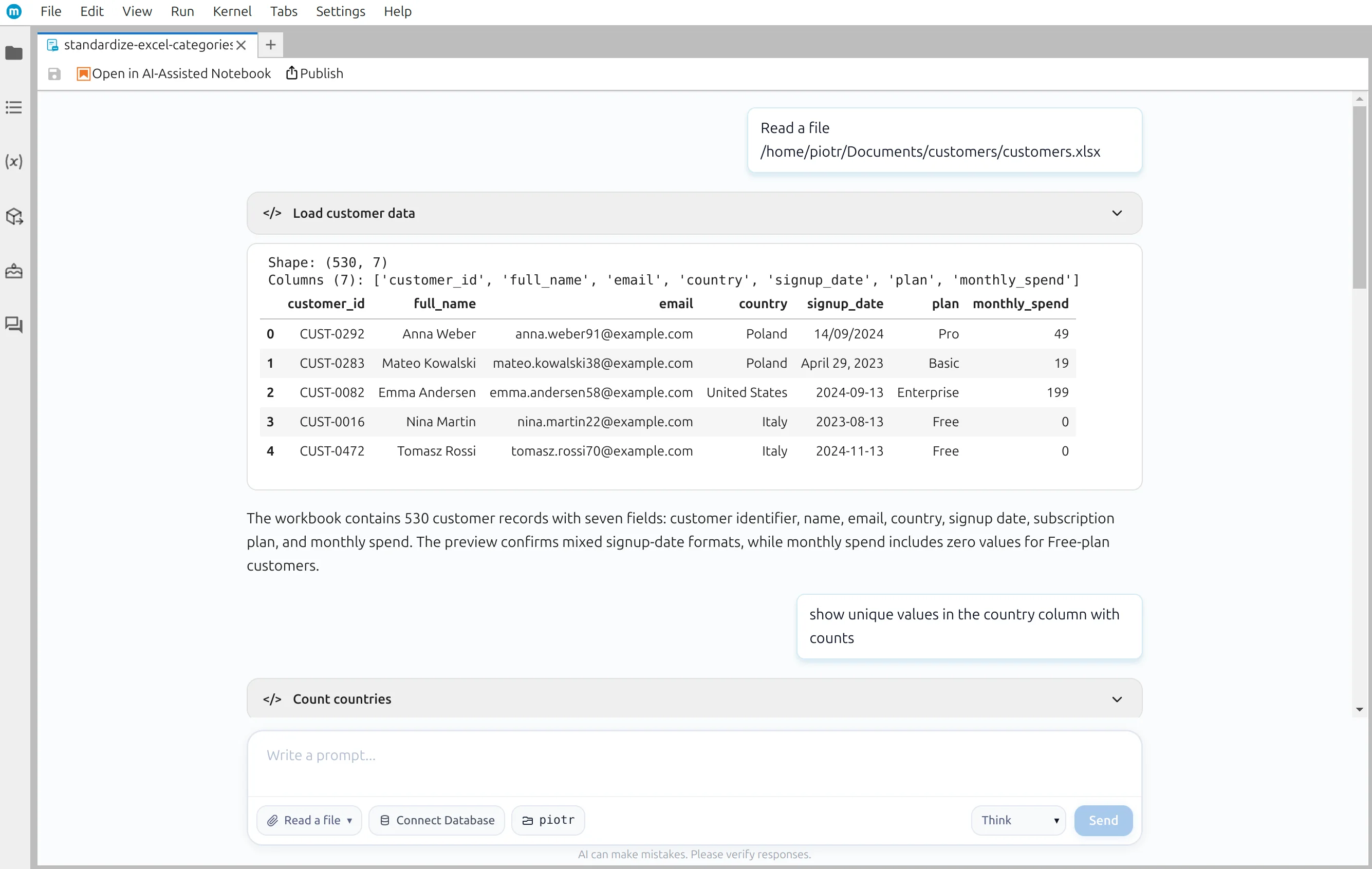 Loaded customer data